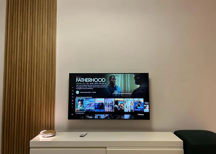 Spacious Fancy Apartment