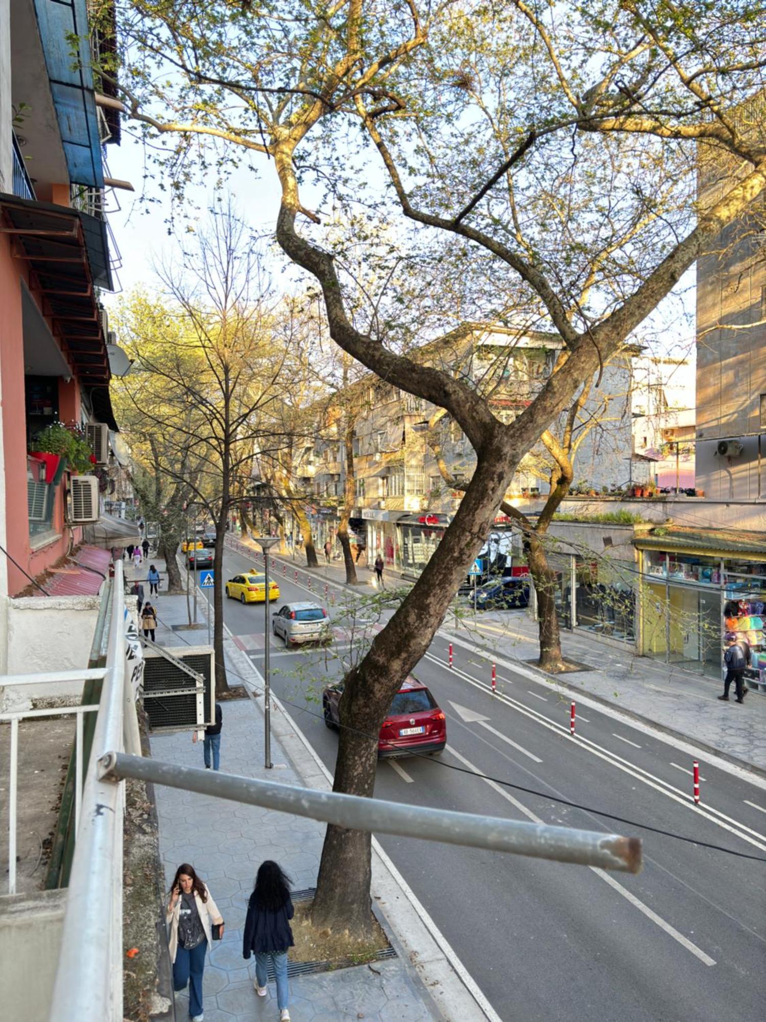 公寓 Spacious Fancy Tirana